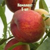 Комплект 5шт / Персик Франт: фото и описание
